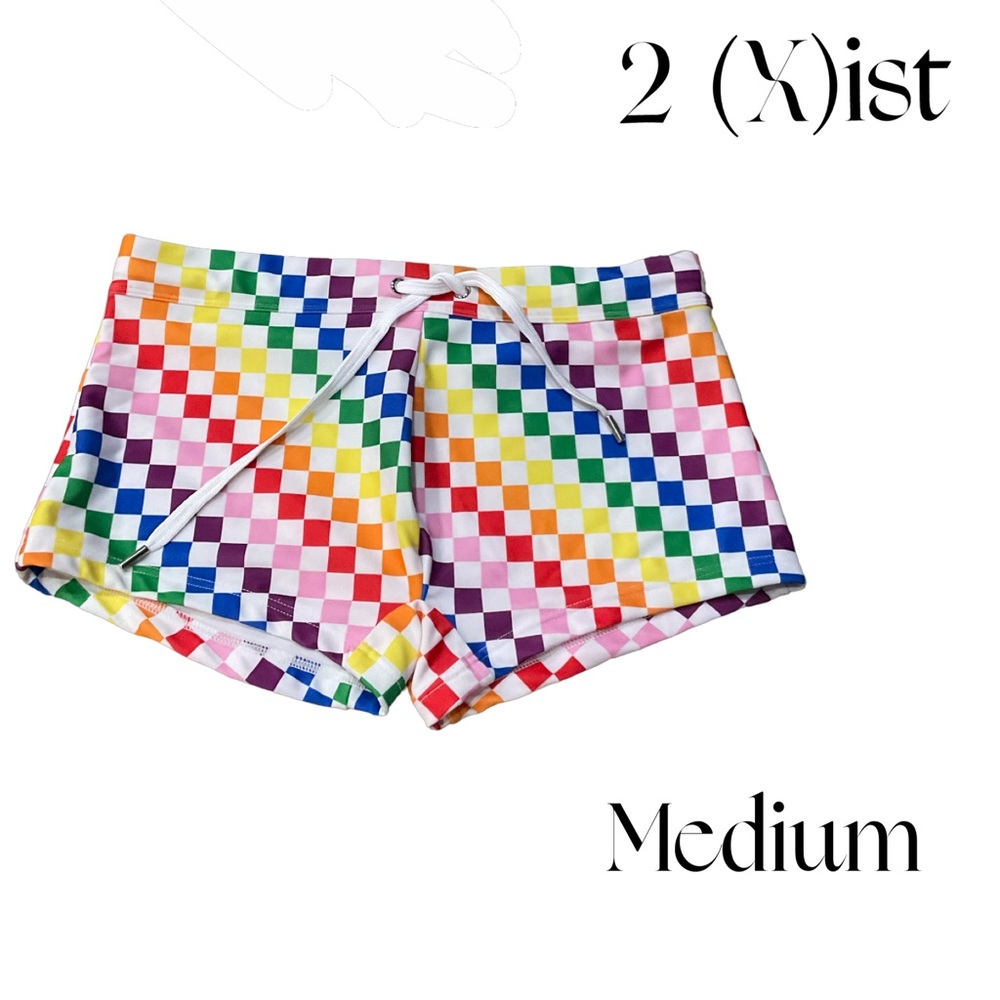 2(X)ist Swim Rainbow Checkered Swim Brief Shorts drawstring trunks Medium pride - Picture 2 of 7